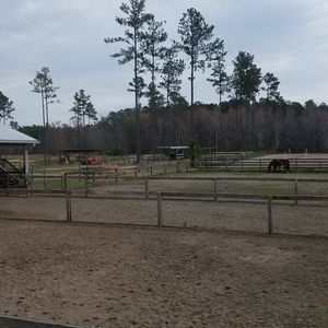 Meet your Posher, Debra